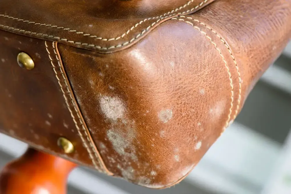 Caring for Leather Bags and Backpacks