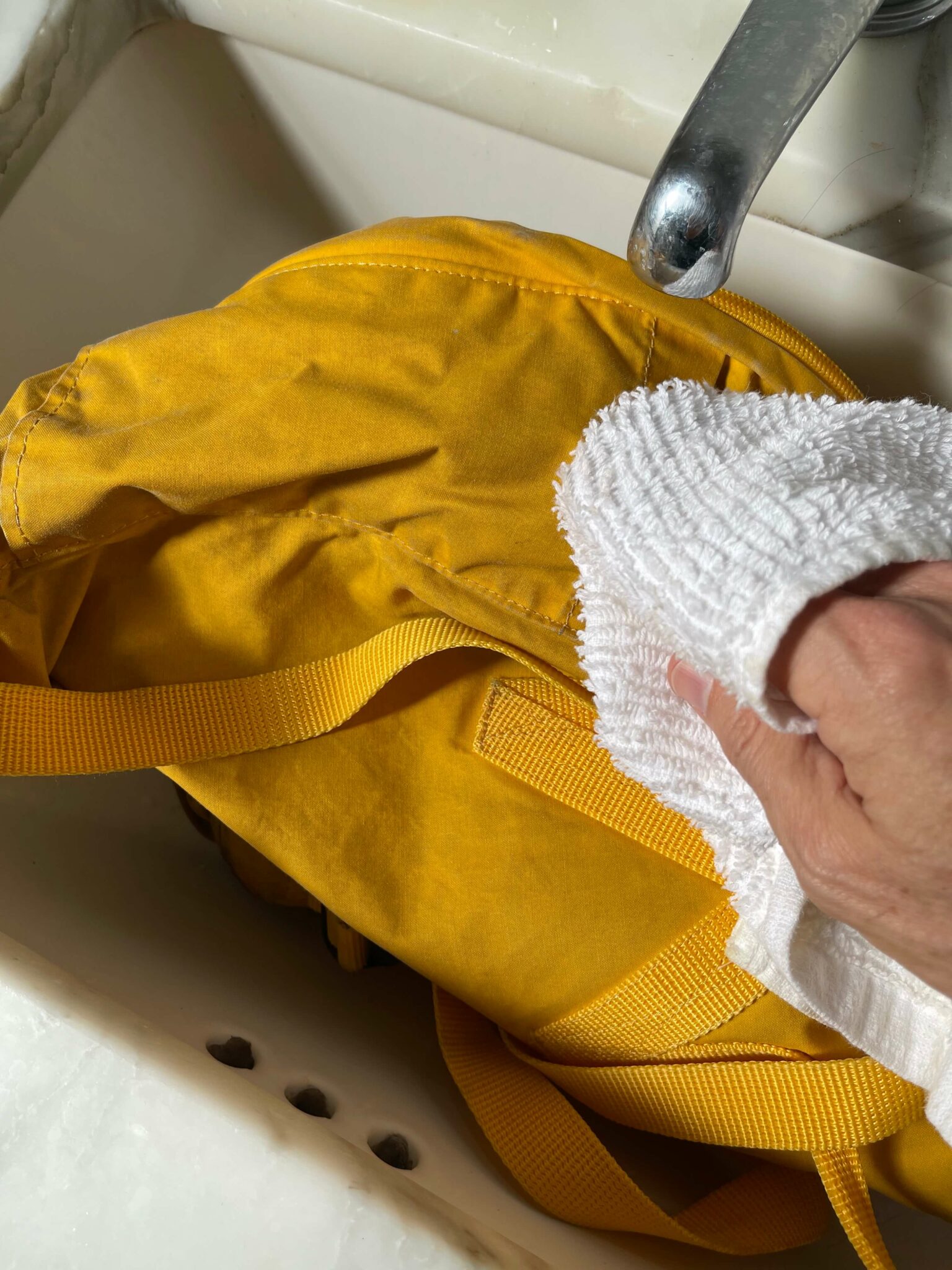 My Backpack Smells Like Mold…Now What? Our Simple 6 Step Guide To Clean