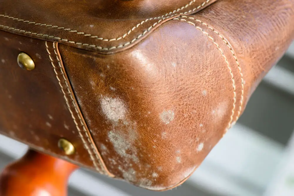 Article: Caring for leather bags and backpacks. Image shows leather bag with mold